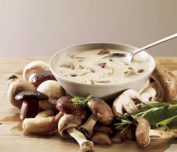 Крем-суп с курицей и белыми грибами