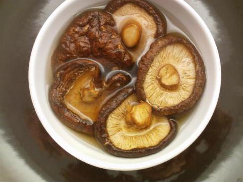Сушеные грибы как готовить