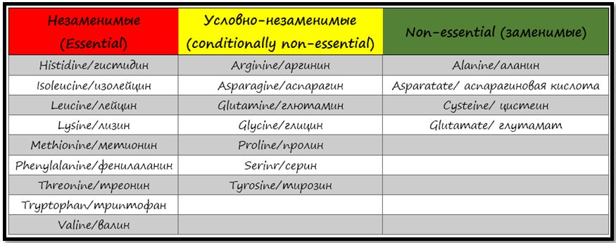 классификация аминокислот