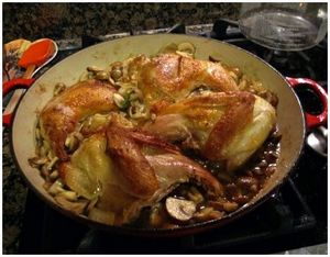 Рецепты приготовления блюд из фазана