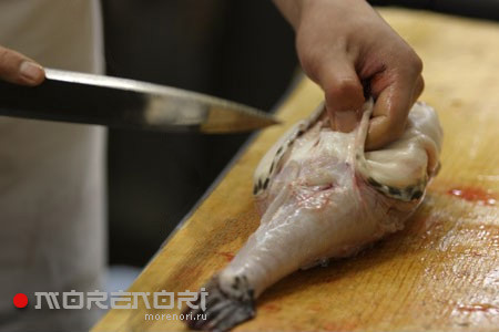 Как готовят рыбу фугу