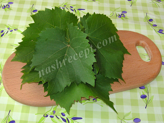 виноградные листья для долмы - vinogradnye listya dlya dolmy