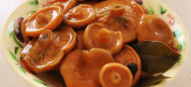 Как готовить на зиму соленые грибы рыжики
