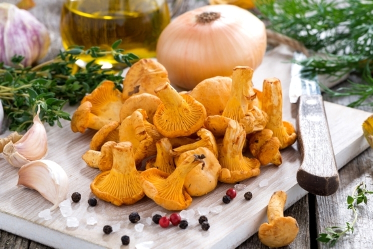 Из лесу вышел: 5 рецептов с лесными грибами