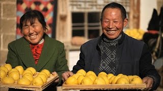 Китай на кончике языка 2-Истории основных блюд