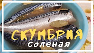 Очень Вкусный РЕЦЕПТ скумбрия малосольная пряного посола по ГОСТу.Готовим дома.Просто Вкусно