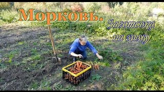 Морковь, на зиму. Видео рецепты от бабки (Борисовны)