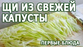 Рецепты первых блюд. Щи из свежей капусты простой рецепт приготовления