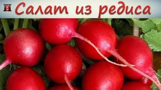 Вкусный весенний салат из редиса. Самый простой рецепт.