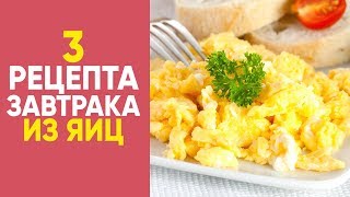 ТОП 3 рецепта ЗАВТРАКА из ЯИЦ [Simple Food - видео рецепты]