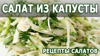 Рецепты салатов. Салат из капусты простой рецепт диетического блюда