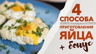 4 блюда из яиц на завтрак [Рецепты Bon Appetit]