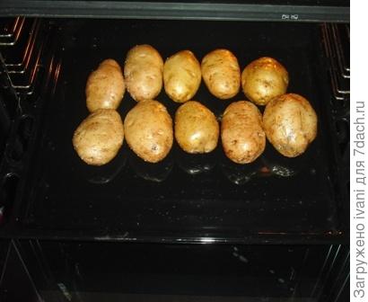 Картофельные шкурки