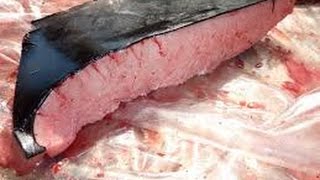 Flensing a Whale and Eating Whale Meat in Russian