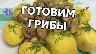 Как приготовить грибы шампиньоны. Рецепт блюда от Ивана!