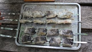 Шашлык из сома | Skewers of catfish VKAZANE