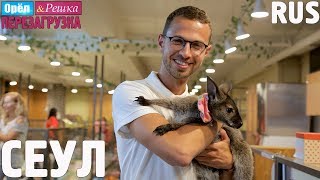 Сеул. Орёл и Решка. Перезагрузка #26. RUS