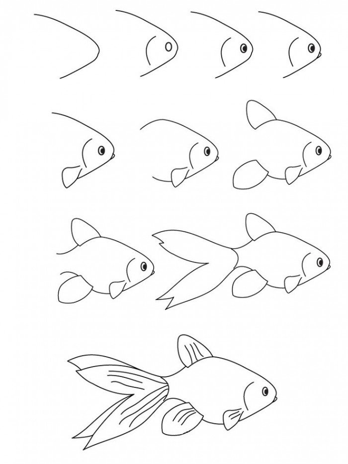 Как нарисовать рыбку. Схема 4