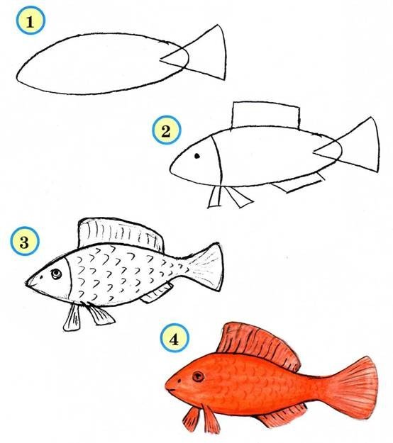 как нарисовать рыбку схема 2