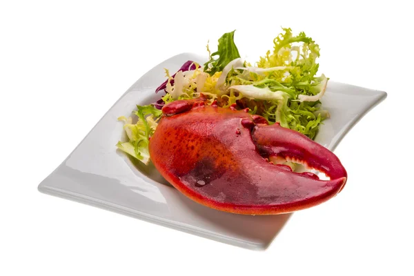 Омаров ногу с салатом — стоковое фото