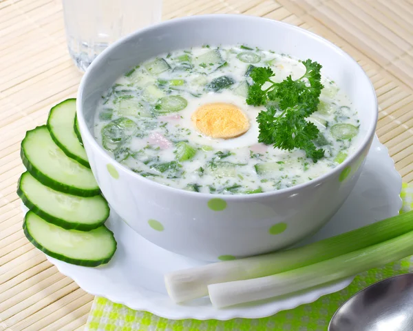 Летом холодный суп с овощами — стоковое фото