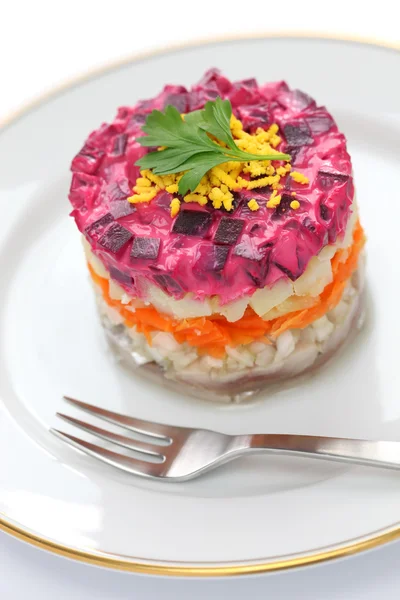 Русский традиционный салат, одетый Сельдь под шубой — стоковое фото