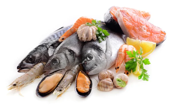 Свежая рыба и другие морепродукты, изолированные на белом — стоковое фото