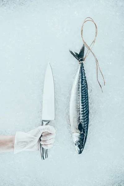 Вид Сверху Сырые Скумбрия Рыба Веревкой Человека Рука Руку Нож — стоковое фото