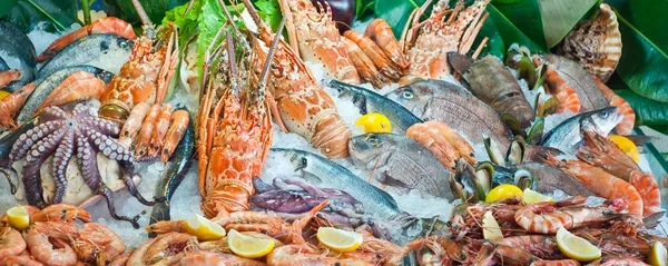 Композиция свежих морепродуктов — стоковое фото