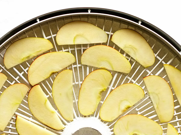 как сушить яблоки в электросушилке