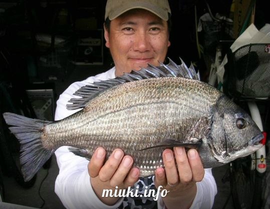 Рыба в японской кухне