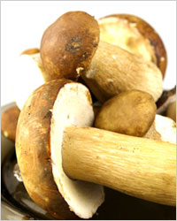Блюда из белых грибов замороженных