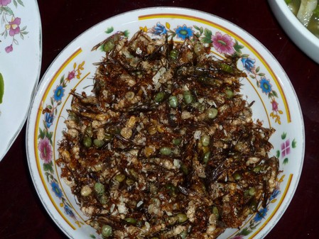 Жареные муравьи — сладкая хрустящая закуска с ореховым привкусом