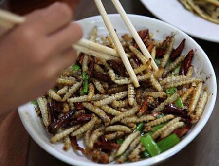 Двенадцать самых вкусных блюд из насекомых — фото 1