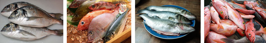 рецепты из морской рыбы