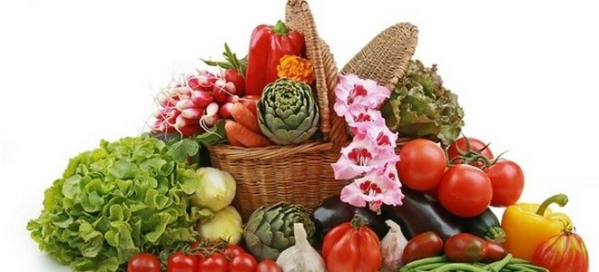 Поделки из овощей и фруктов на выставку
