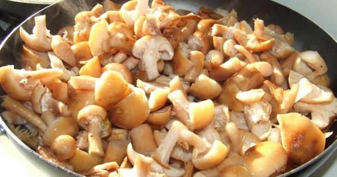 Жареные опята с луком - самые вкусные рецепты блюда с грибами