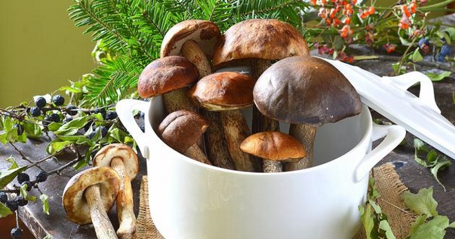 Как готовить подберезовики - способы подготовки грибов и рецепты вкусных блюд