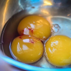 Что приготовить из гусиных яиц