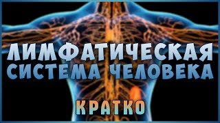 Застой и Очистка Лимфы! Знай и живи. Лимфатическая система! Лимфоузлы. Фролов Ю.А.