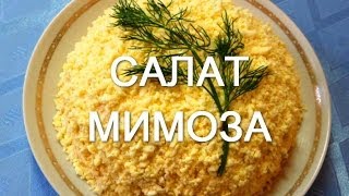 Салат Мимоза. Простые рецепты салатов