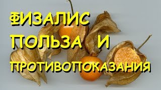 Физалис. Полезные свойства и противопоказания.