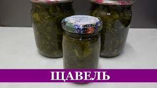 ЩАВЕЛЬ на зиму Консервированный Заготовка ЗЕЛЕНИ