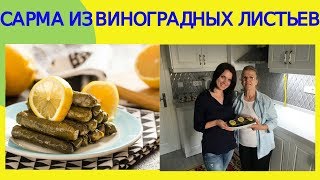 Турецкая кухня. Сарма из виноградных листьев (Yaprak sarma). рецепт