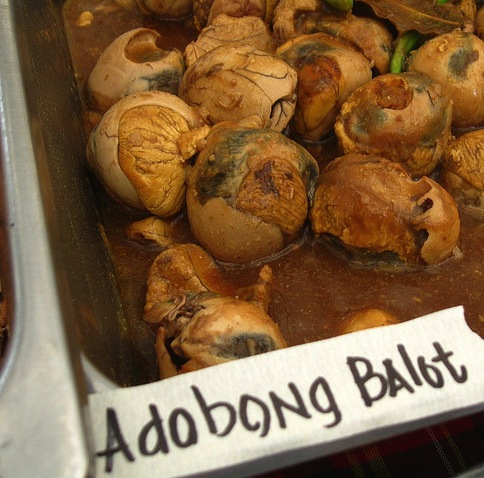 Balut2