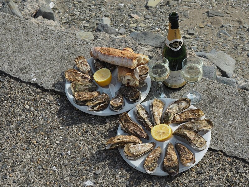 Устрицы - Канкаль, Франция (Oysters - Cancale, France)