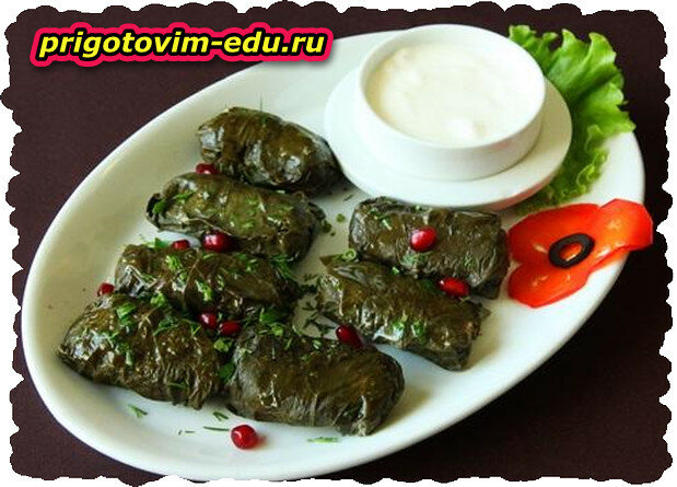 Толма - самое популярное и вкусное армянское блюдо
