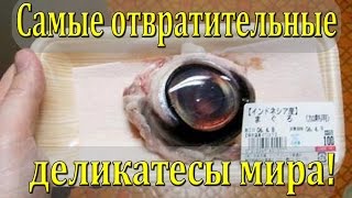 Самые отвратительные деликатесы в мире!