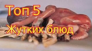 Топ 5 Самых жутких блюд мира